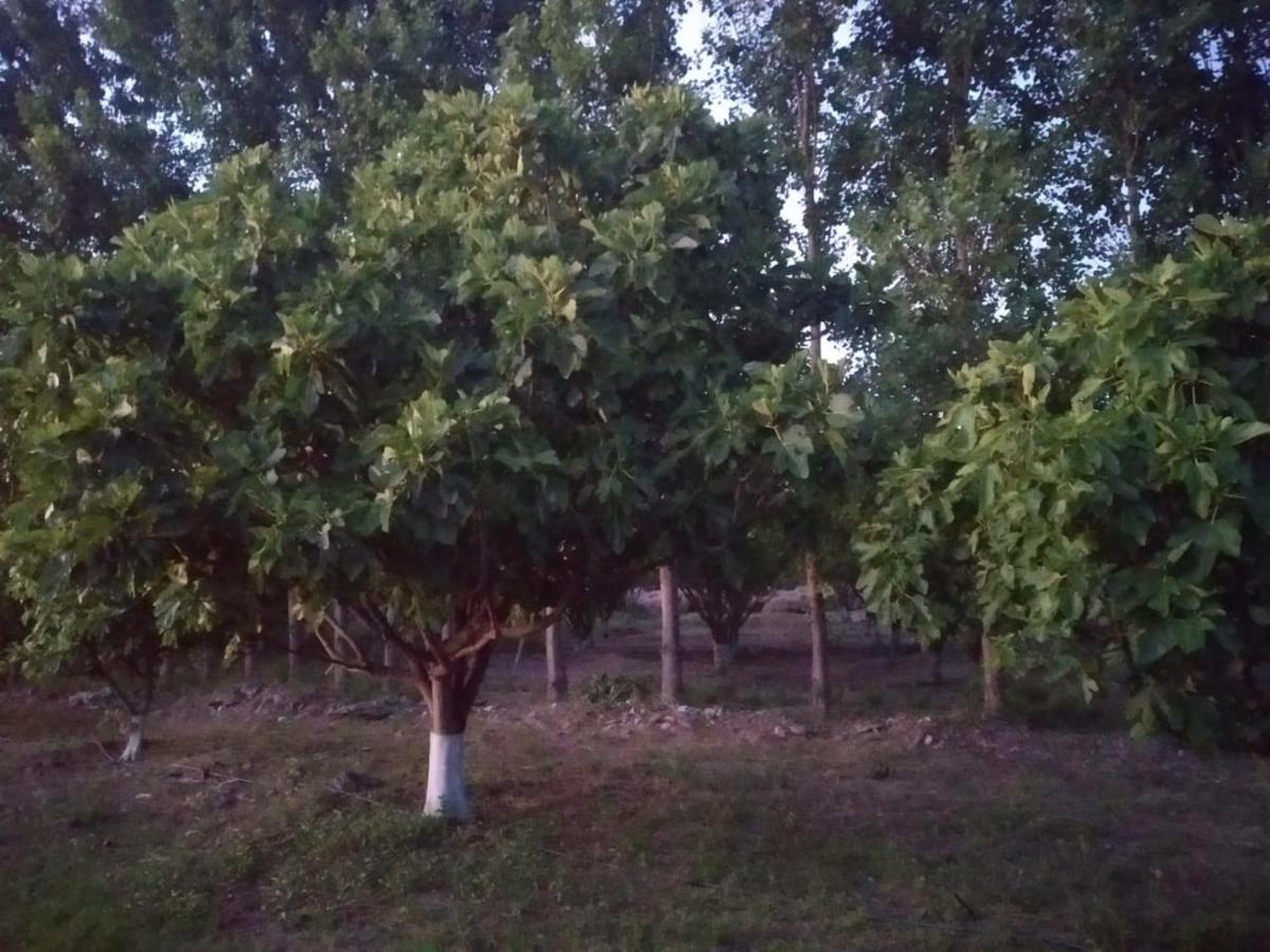 Finca La Julia Luyaba Luaran gambar