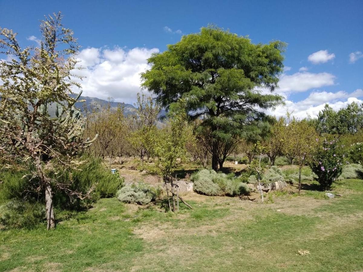 Finca La Julia Luyaba Luaran gambar
