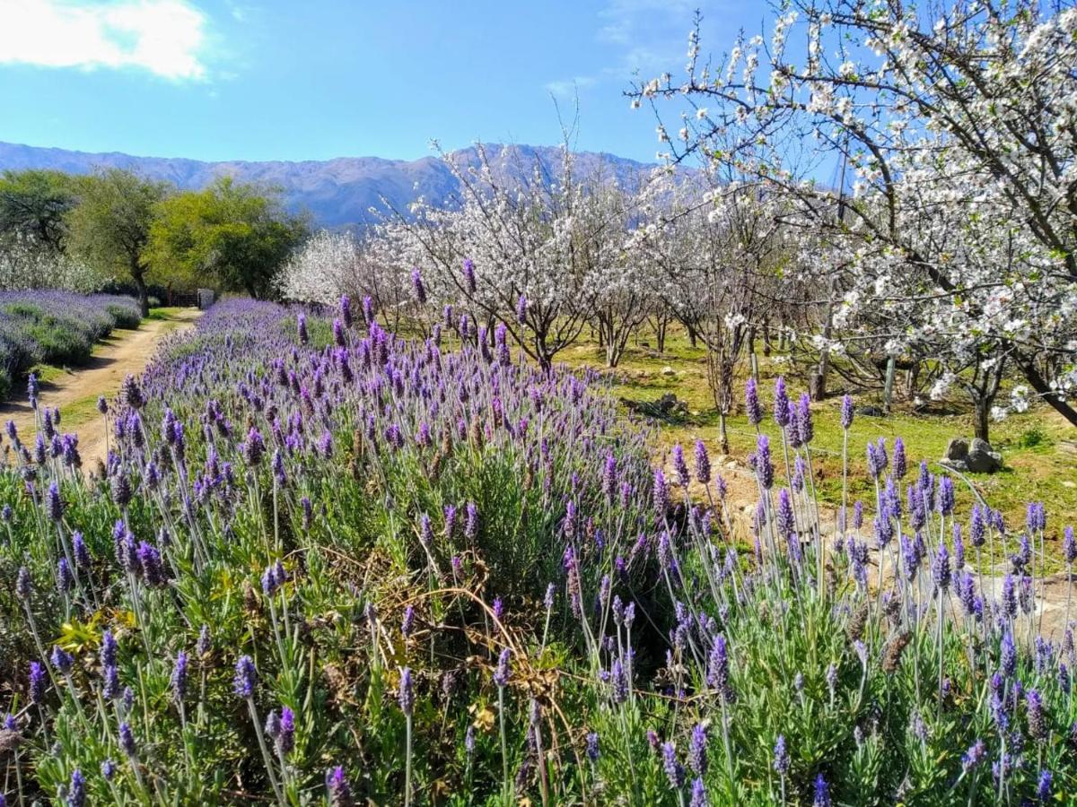 Finca La Julia Luyaba Luaran gambar